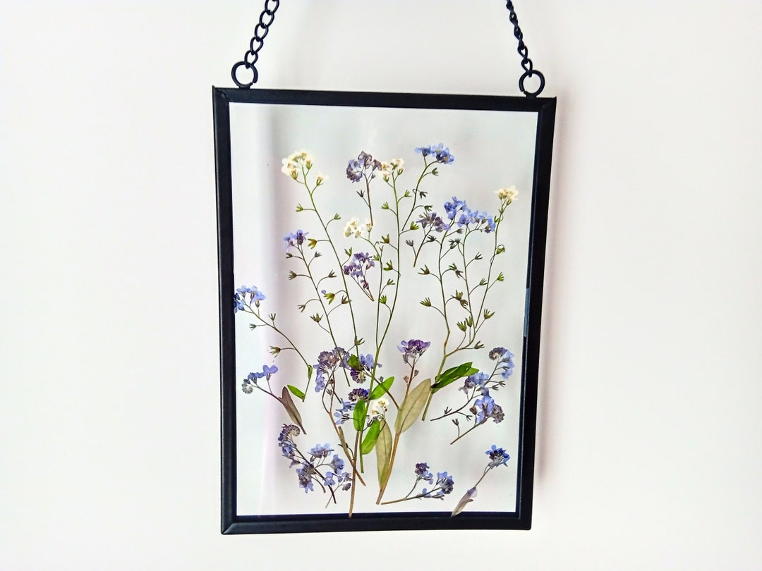 Pressed Flower Me Not Frame Glass Hangings, Me Not, Home