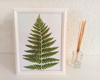 Real Dried Fern leaf in white frame Pressed Fern Leaves home craft Rustic home decor Pressed dried leaves Botanical art Birthday Easter