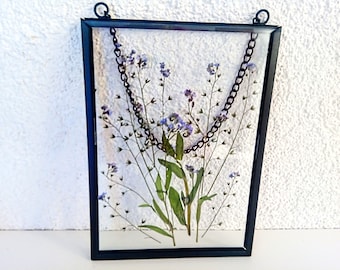 Pressed flower Forget me not frame glass hangings forget me not Home decor dried flowers forget me not in frame dried Daisy flowers Wall art