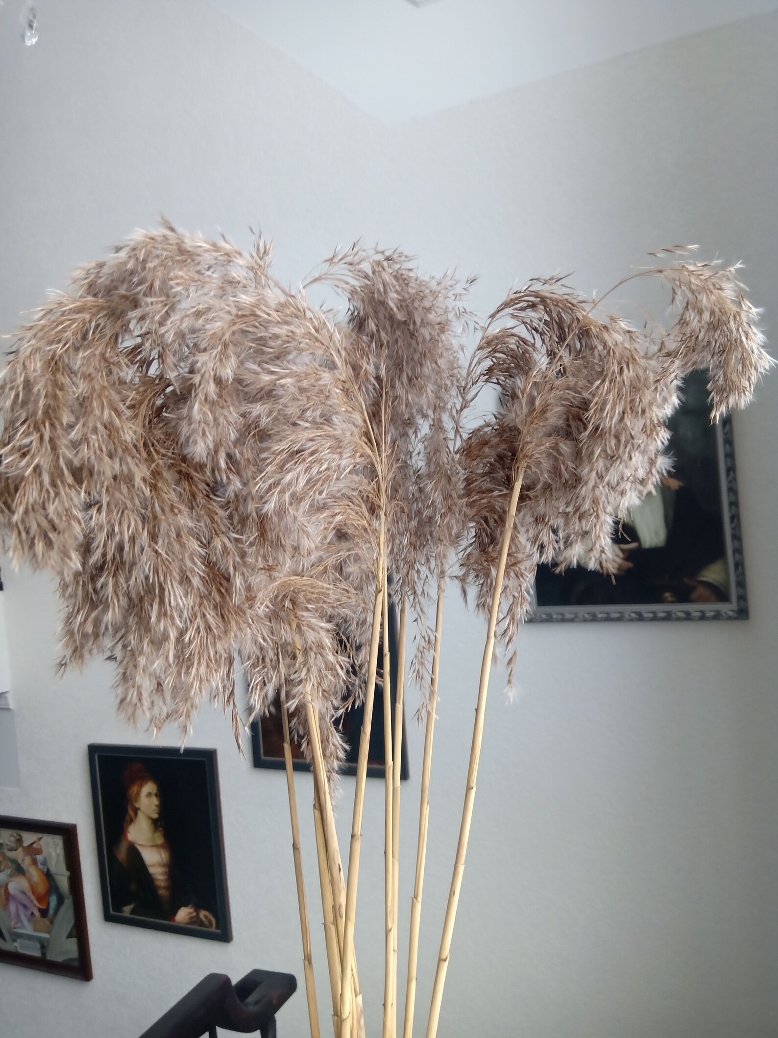 10 Stems Dried Extra long Reeds Grass Vase Flowers Craft Etsy