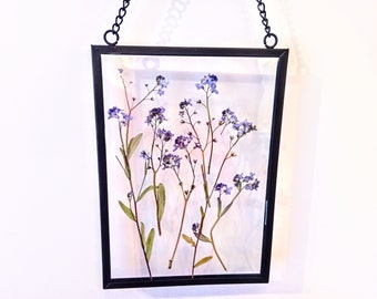 Pressed flower Forget me not frame glass hangings Home decor dried flowers in frame Blue decor preserve flowers Gift Mother's day flowers