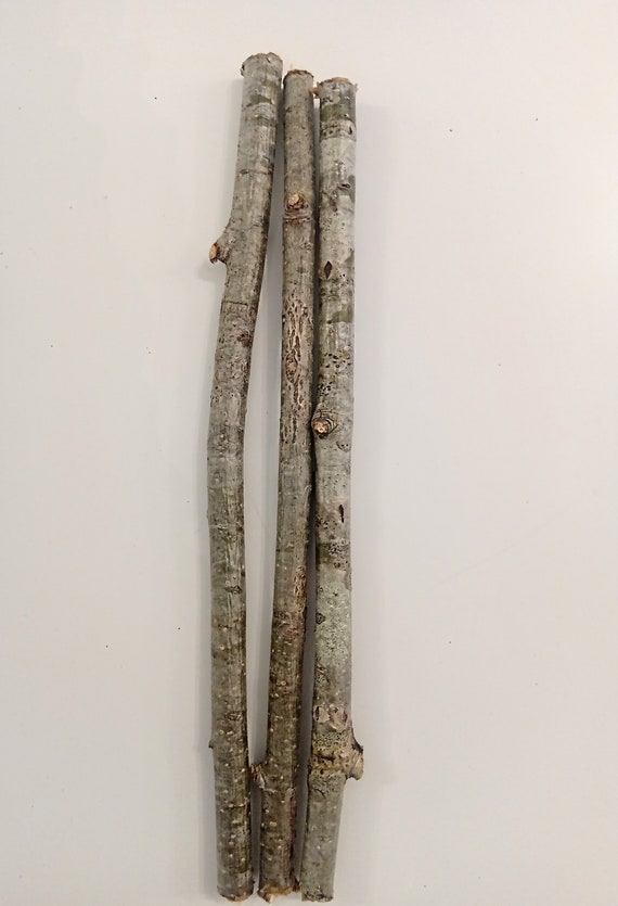 Rowan Wand Supply Wood Sticks Natural Mountain Ash Tree Branch