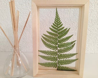 Fern leaf in wood frame Pressed Fern Leaves home craft Rustic decor Botanical art Mothers day gift Autumn Summer Wedding Flowers art Table