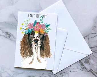 Springer Spaniel Birthday Card
