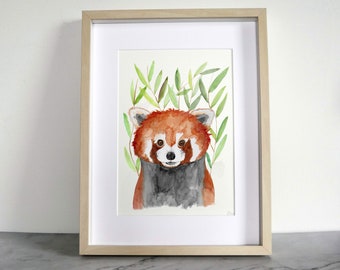 Red Panda Art Print, Red Panda Print