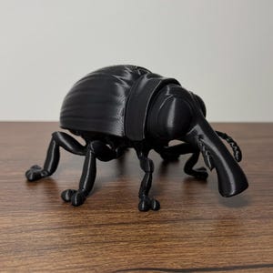 May include: A matte black 3D printed figurine of a weevil insect. The figure features a rounded, textured shell, six articulated legs, and a prominent elongated snout characteristic of the weevil species, captured in a static standing position.