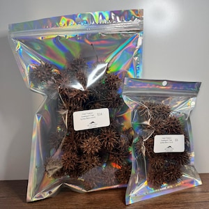 May include: Two clear, iridescent zip-lock bags filled with brown Sweetgum tree seed pods. The larger bag has a price tag of $16. The smaller bag has a price tag of $5. The bags are on a wooden surface.