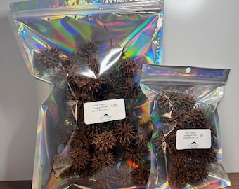 Sweetgum Spikey Balls for Bioactive Terrariums Isopod & Invertebrate Shelter