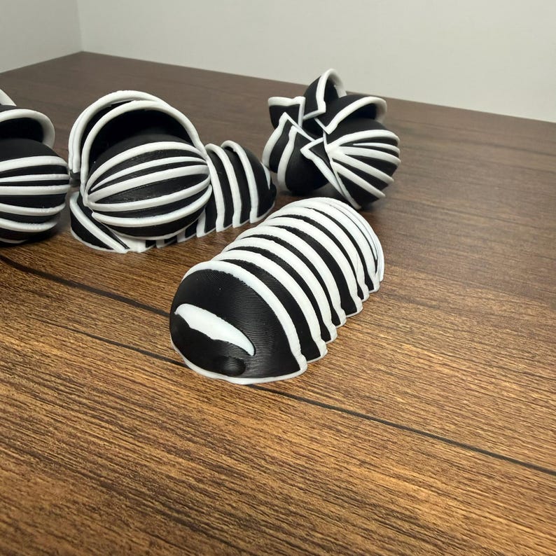 Zebra Isopod Fidget Toy Roly-poly Bug That Rolls Up - Etsy