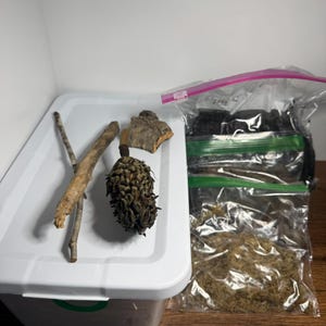 May include: A collection of natural elements, including twigs, bark, and a pine cone, arranged on a white tray. Two clear plastic bags filled with dark and light brown materials are also present, suggesting a craft or decorative theme.