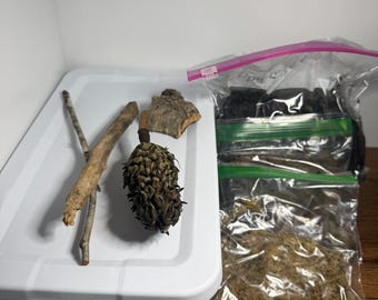 Isopod Starter Kit | Complete Bioactive Habitat Kit | Beginner-Friendly Setup