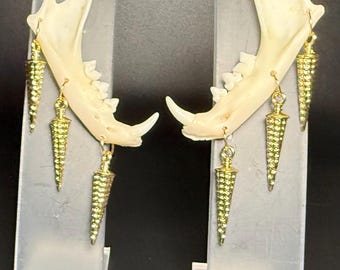 May include: A pair of unique earrings featuring natural bone jawbone pendants with gold-colored, cone-shaped dangles. The earrings are displayed on clear plastic stands against a dark background.