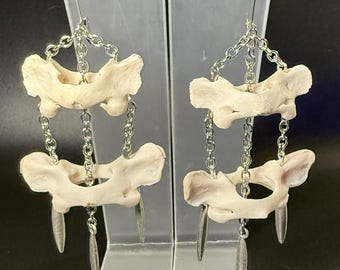 Raccoon Atlas Bone Earrings | Murdoch’s Macabre | Gothic Bone Jewelry | Stainless Steel Chain | Nickel-Free Dangles | Witchcore Earrings