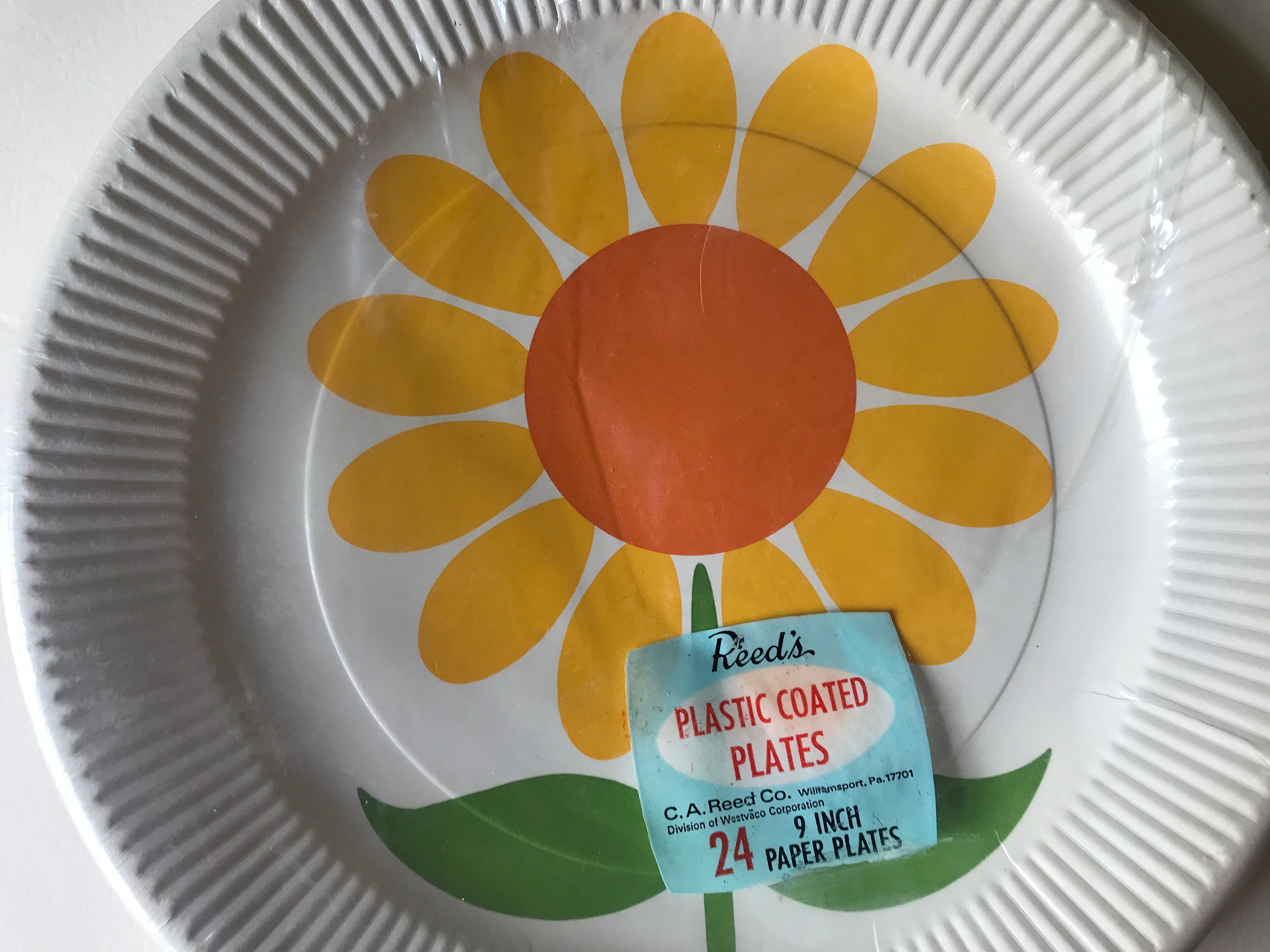 Vintage Sunflower Daisy Paper Plates Reeds Party Decor 60s 70s Etsy