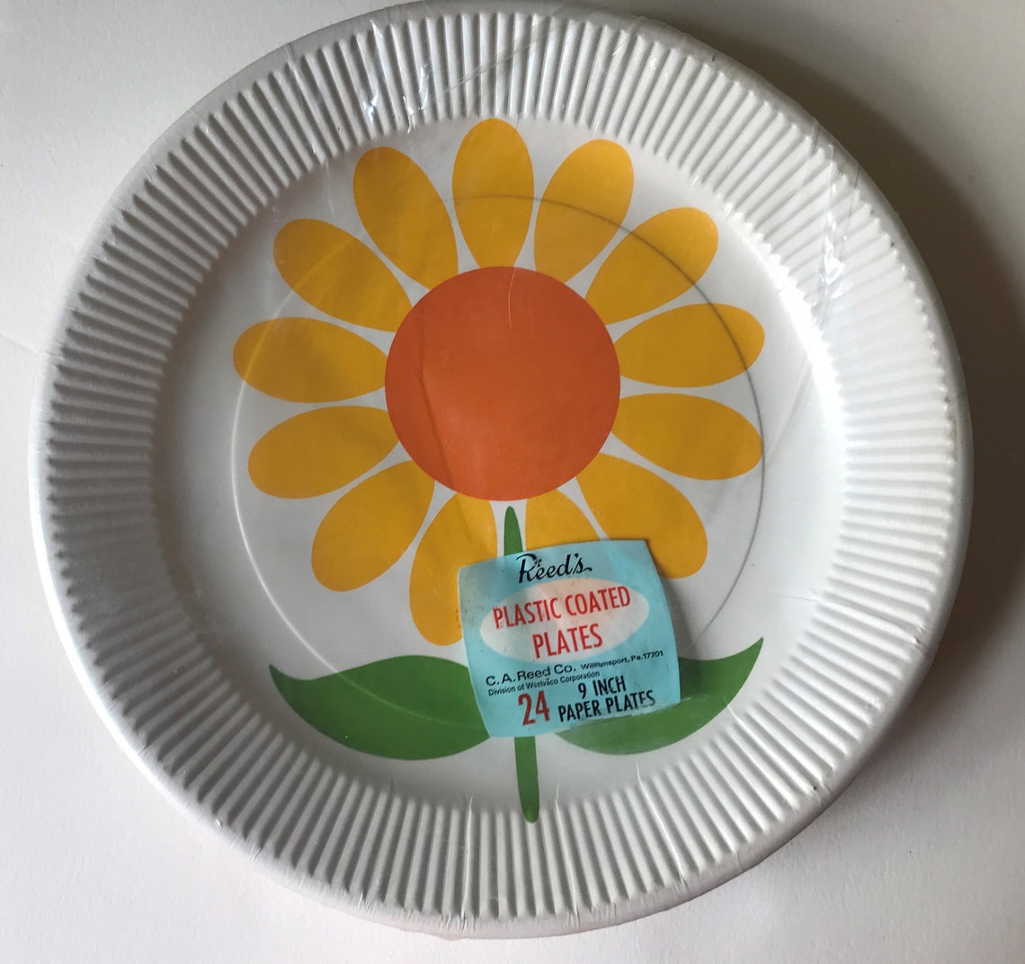 Vintage Sunflower Daisy Paper Plates Reeds Party Decor 60s 70s Etsy