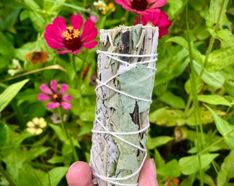 Paquete de manchas de salvia blanca y eucalipto para limpiar tu espacio, fuerza, protección y abundancia.