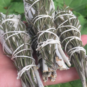 Purification Smudge  Bundles- White Sage and Rosemary- Herbal Smudge Stick