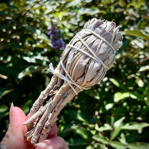 Small White Sage Bundle- Sustainably Harvested