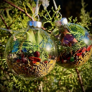 Yule Ball - Witch Ball - Shatter Proof Ornament  - Mistletoe, Holly, Red Cedar, Cinnamon, Juniper, Green Aventurine, Red Jasper