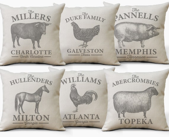 Farmhouse outdoor throw clearance pillows