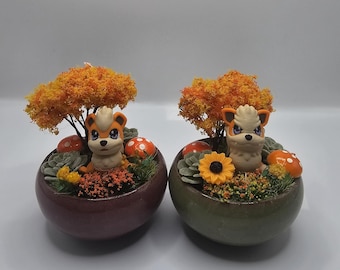 Minimonsters Growlithe/Arcanine-terrarium