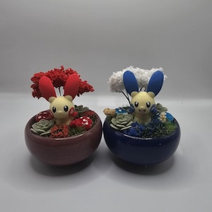 May include: Two small, round ceramic pots, one burgundy and one navy blue, each containing a miniature landscape. Each pot features a cartoon character with large ears, surrounded by miniature trees, plants, and mushrooms.