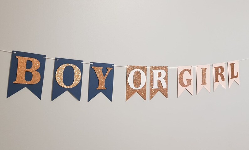 Gender Reveal Party Decorations Navy and Blush Gender Reveal Garland Gender Reveal Bunting Navy Blush and Silver Pink Blue Decorations