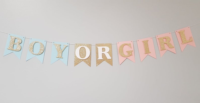 Gender Reveal Party Decorations Navy and Blush Gender Reveal Garland Gender Reveal Bunting Navy Blush and Silver Pink Blue Decorations