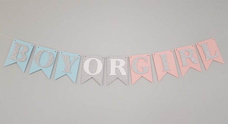 Gender Reveal Party Decorations Navy and Blush Gender Reveal Garland Gender Reveal Bunting Navy Blush and Silver Pink Blue Decorations
