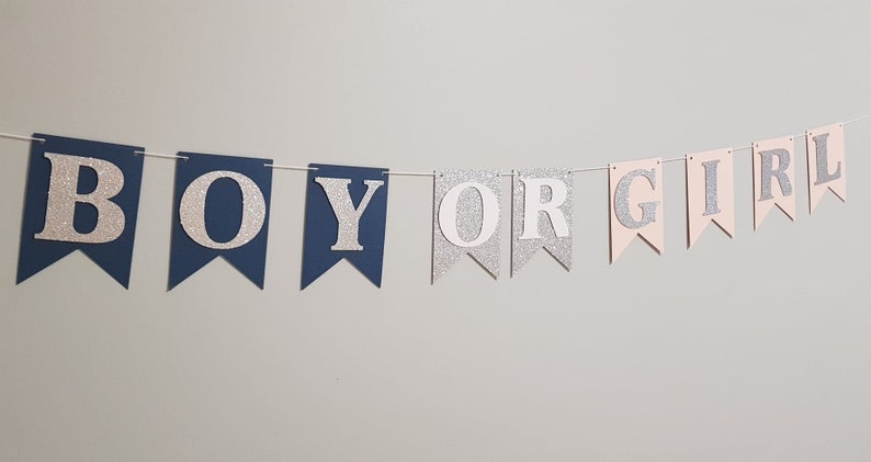 Gender Reveal Party Decorations Navy and Blush Gender Reveal Garland Gender Reveal Bunting Navy Blush and Silver Pink Blue Decorations