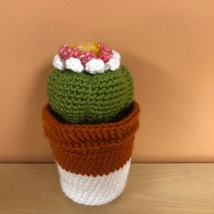 Amigurumi Dwarf Chin Cactus