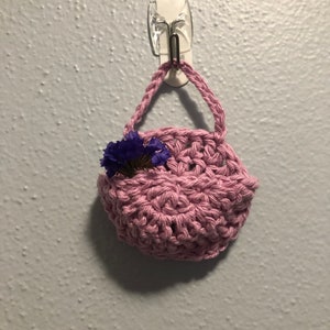 Air Plant Basket