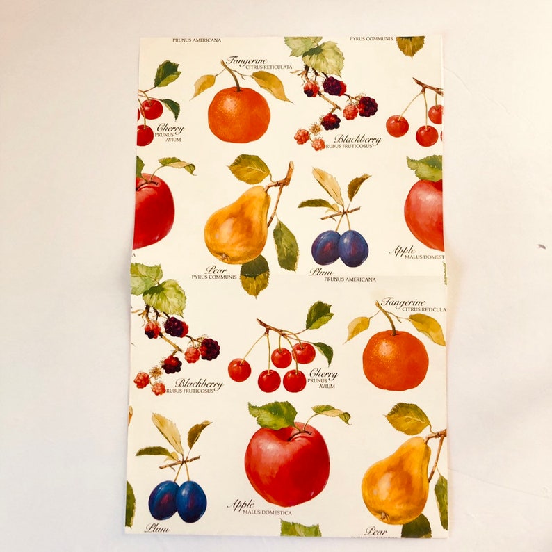 Botanical Fruit Gift Wrap Wrapping Paper Bright One vintage Etsy
