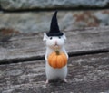 Halloween mouse with a pumpkin, Needle felted mouse, Needle felted animal, Needle felted miniature product logo