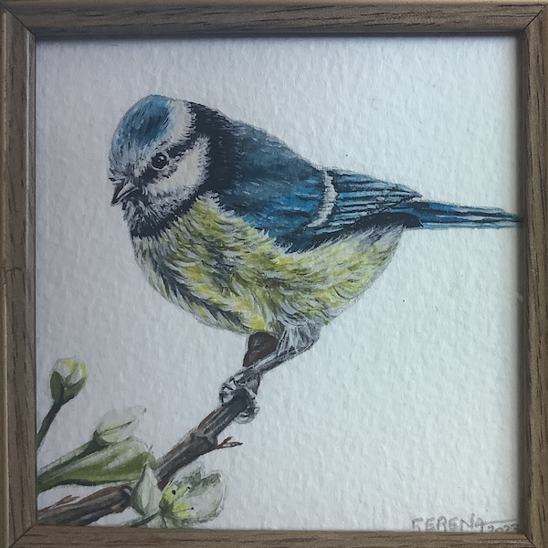 Bluetit Original Watercolour Painting 'The Acrobat'