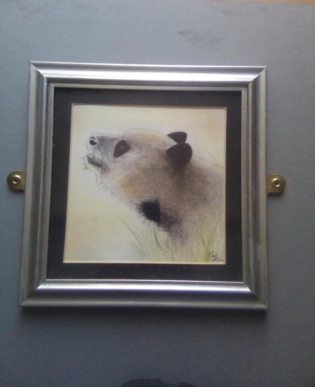 Original Framed Panda Coloured Pencil Drawing - Etsy