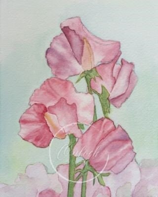 デジタル、ピンクのスイートピー、オリジナル絵画からのオープン