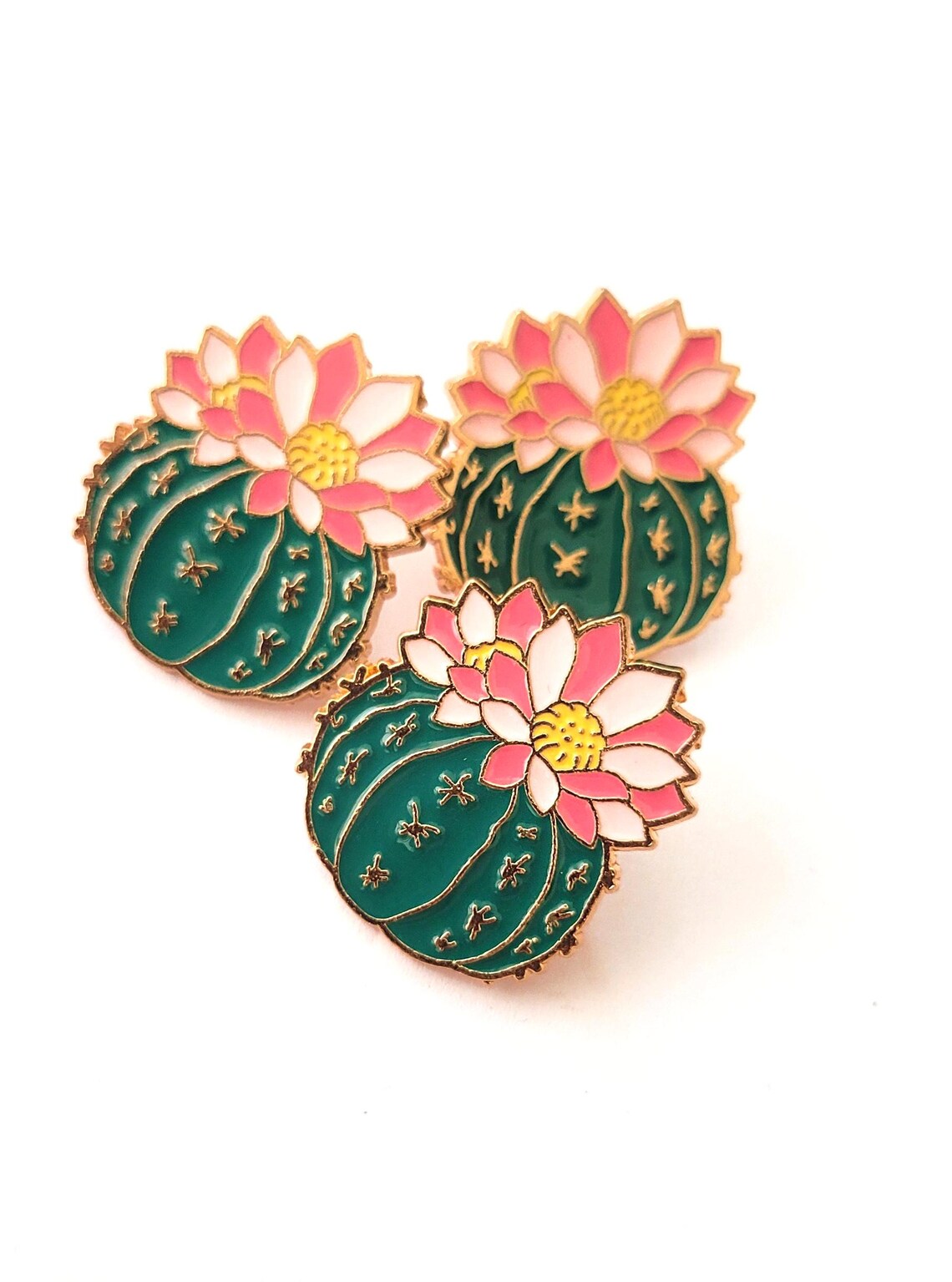 Barrel Cactus Enamel Pin Palm Springs Arizona Desert Pin - Etsy
