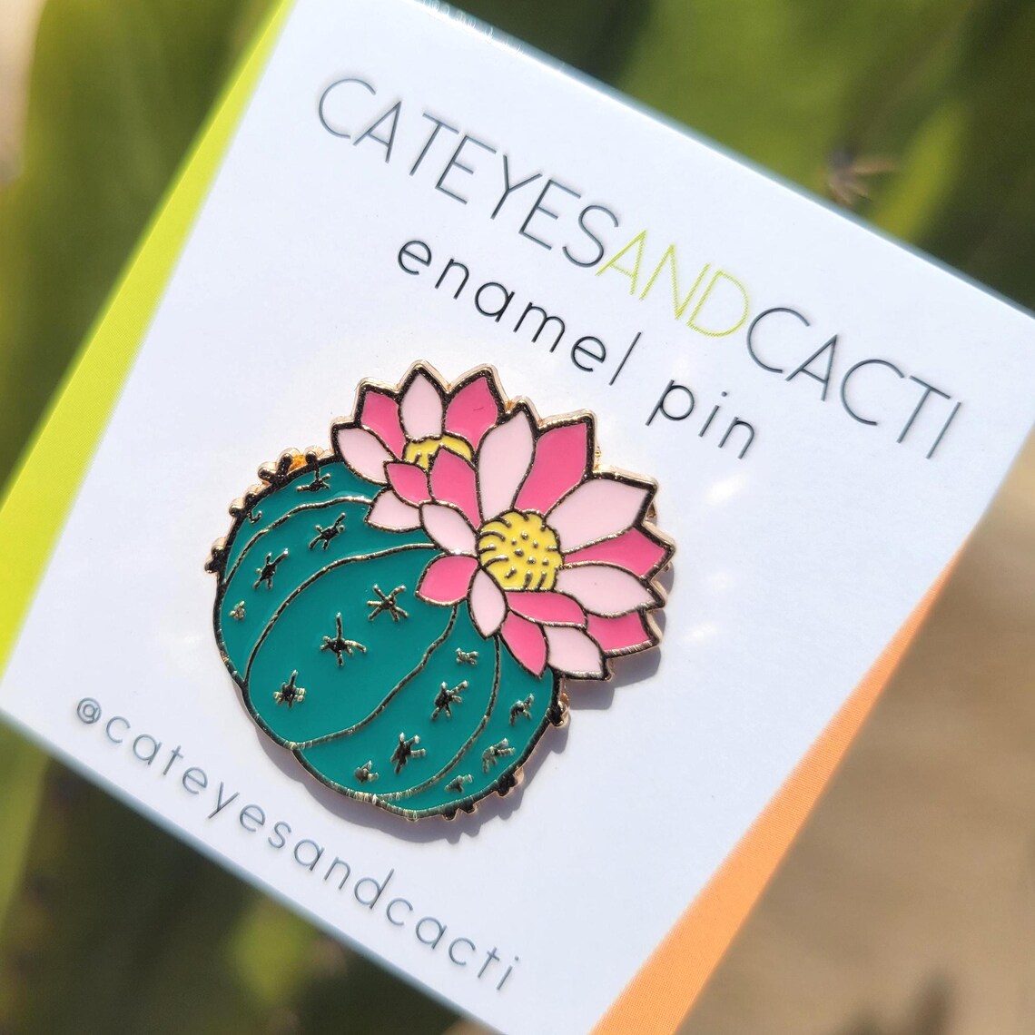 Barrel Cactus Enamel Pin Palm Springs Arizona Desert Pin - Etsy
