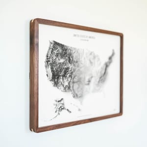 May include: A framed print of a grayscale relief map of the United States, displayed on a white wall. The map is enclosed within a dark brown wooden frame. The text "UNITED STATES OF AMERICA" is visible at the top of the map.