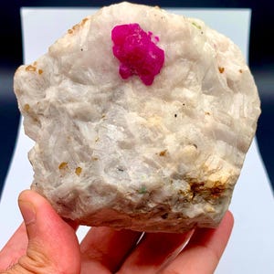 May include: A raw, unpolished mineral specimen featuring a large, vibrant magenta-colored crystal embedded within a textured, off-white and translucent crystalline matrix. The stone displays irregular facets and small golden-brown inclusions.