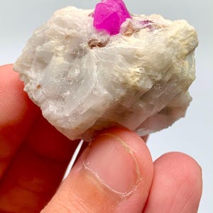 May include: A raw mineral specimen featuring a vibrant, deep pink crystalline structure embedded within a larger, opaque white and off-white matrix. The stone displays a rough, natural texture with visible facets on the pink crystal point.