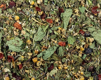 Mélange De Graines 'Herb Garden' Pour Reptiles (Mélange D'Automne) | 2 G | Herbes Sauvages Digestes | Pour Tortues, Iguanes, Rongeurs