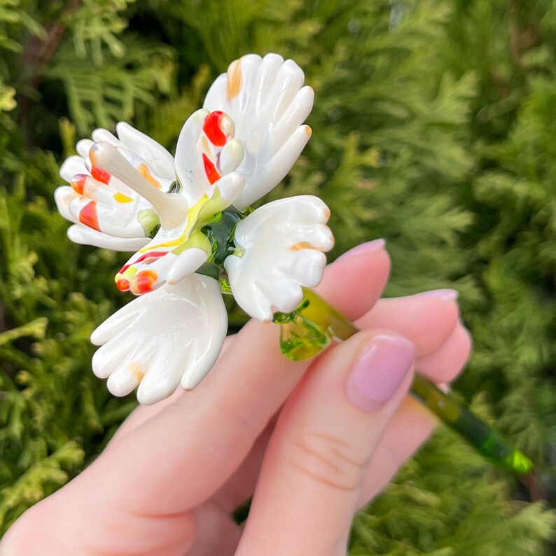 K&ouml;nnte beinhalten: Eine wei&szlig;e Glasblume mit roten, gelben und orangefarbenen Akzenten. Die Blume hat f&uuml;nf Bl&uuml;tenbl&auml;tter und einen gr&uuml;nen Stiel.