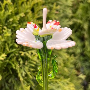 K&ouml;nnte beinhalten: Eine wei&szlig;e Glasblume mit gr&uuml;nem Stiel und Bl&auml;ttern. Die Blume hat rote und gelbe Akzente auf den Bl&uuml;tenbl&auml;ttern.