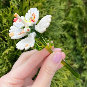 K&ouml;nnte beinhalten: Eine wei&szlig;e Glasblume mit roten und gelben Akzenten auf den Bl&uuml;tenbl&auml;ttern und einem gr&uuml;nen Glasstiel.
