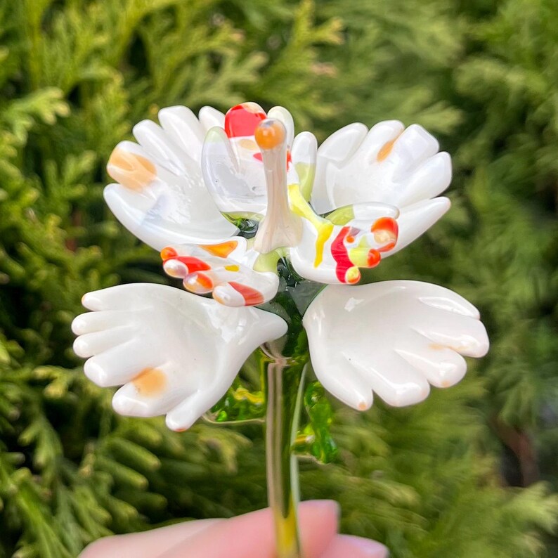K&ouml;nnte beinhalten: Eine wei&szlig;e Glasblume mit roten, orangen und gelben Akzenten. Die Blume ist handf&ouml;rmig mit f&uuml;nf Fingern. Der Stiel ist aus gr&uuml;nem Glas.