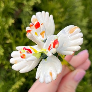 K&ouml;nnte beinhalten: Eine wei&szlig;e Glasblume mit roten, gelben und orangefarbenen Akzenten. Die Blume hat f&uuml;nf Bl&uuml;tenbl&auml;tter und ist aus Glas.