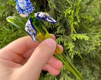 May include: A handcrafted glass flower sculpture featuring a blue and white iris bloom with green leaves and stem. The glass art piece is held against a backdrop of green foliage.