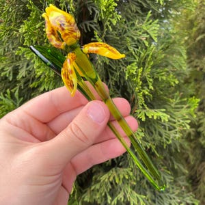 Figura de flor de iris de vidrio amarillo – Escultura de iris de vidrio soplado con tallo largo – Adorno floral hecho a mano estilo Murano – Regalo para enamorados